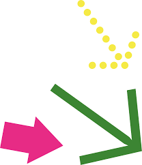 cat-icon